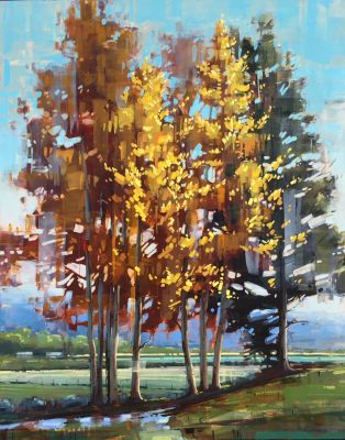 Originals - Poplars With Pine 45x36 Originals - Poplars With Pine 45x36